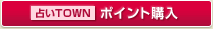 �肢TOWN �|�C���g�w��