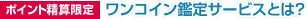 <ポイント精算限定>ワンコイン鑑定サービスとは?