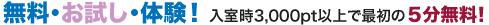 �T�������������̌�