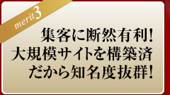 ＜メリット3＞SEOに断然有利！大規模サイトを構築済だから知名度抜群！