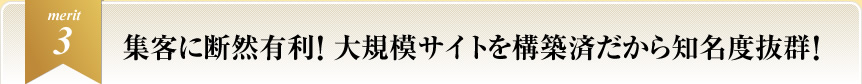 集客に断然有利！大規模サイトを構築済だから知名度抜群！