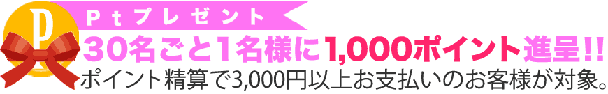 ポイントプレゼント