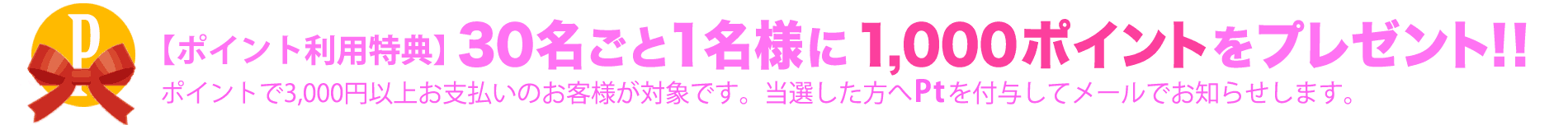 ポイントプレゼント