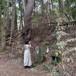 Lotus Sarah ロータス　サラ